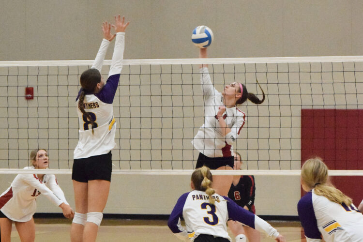 Nedrose volleyball wins nailbiter against Glenburn News, Sports, Jobs